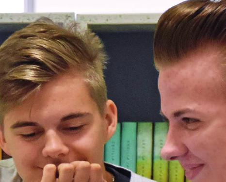 nationella experimentet om basinkomst.