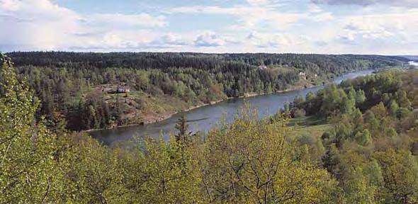 Närsaltsbelastningen på samma nivå trots åtgärder Lars Sonesten, SLU Den svenska närsaltsbelastningen på havet har totalt sett inte minskat de senaste 35 4 åren, vilket framförallt beror på att