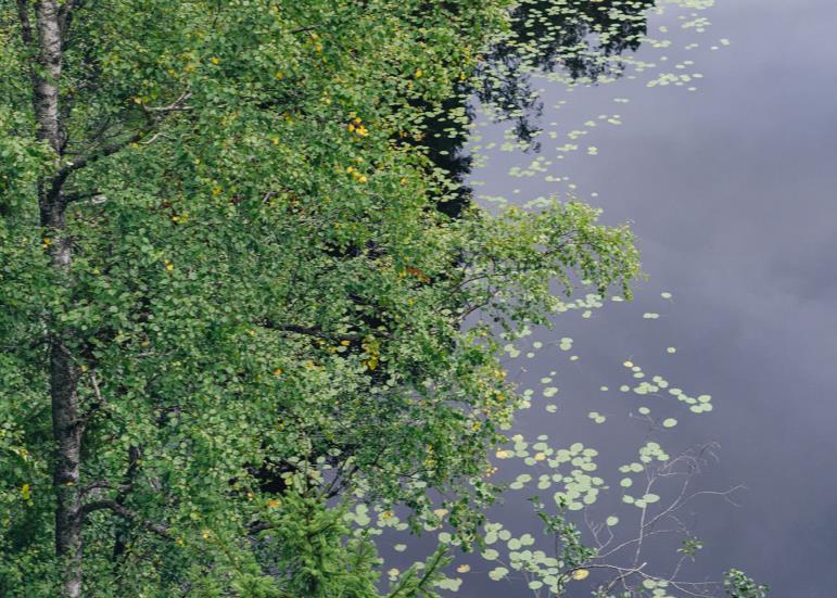 TCFD-rapport om klimatrisker Vi publicerade vår första rapport om klimatförändringarnas risker och möjligheter i enlighet med TCFD*-rekommendationerna.