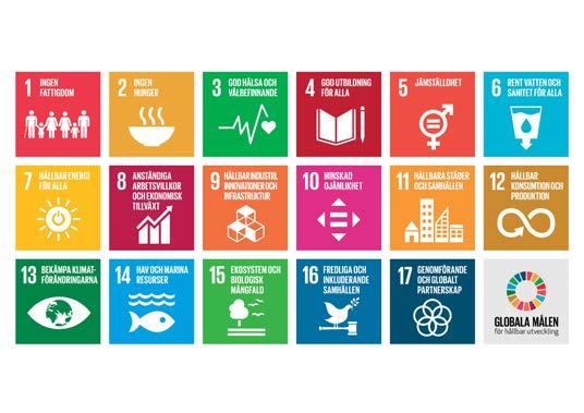 FSC har identifierat 11 mål för hållbar utveckling där vårt certifieringssystem bidrar FN-rapport om globala hållbarhetsmål, Progress towards the Sustainable Development Goals, bekräftar