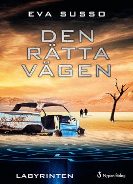SIDN 9 nalys 59. Vad i texten beskriver samhället som Paris och Kairo lever i? Ge några exempel. På vilket sätt är samhället likt eller olikt det samhälle du lever i? Eget svar 60.