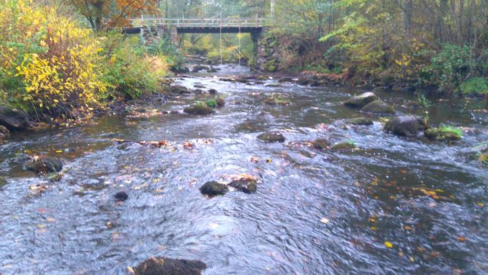 Rönne å vattenkontroll 216 - Bottenfauna Vattensystem: Vattendrag/namn: Provpunktsbeteckning: RÖNNE Å Pinnån, Storamölla RO46 Provdatum: Lokaltyp: Å 216--18 Naturligt/grävt: naturligt Koordinater x: