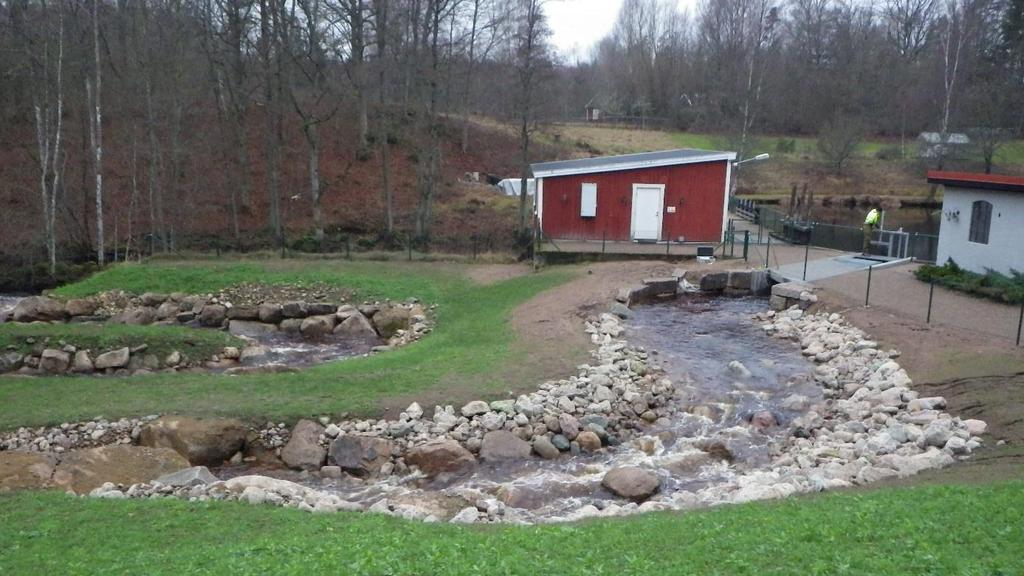 Figur 15 och 16. Bilderna visar Tararp, Bräkneån, före och efter åtgärd.