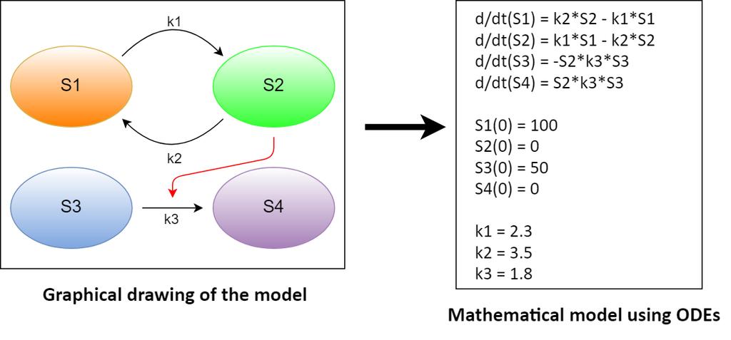 Fig 2.1: An overview of the workflow process. The red circles represent the steps that were carried out in MATLAB whilst the blue circles were done in software developed by Wolfram.