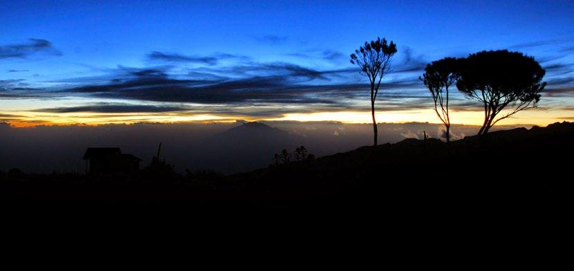 Såhär kommer du förberedd till Kili Vandringen på Kilimanjaro börjar i den tropiska regnskogen, där det är mycket varmt och fuktigt.