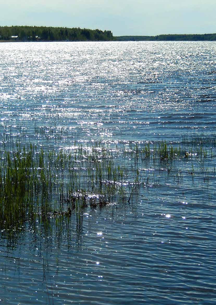Juni 2019 Månadsbild Fornminnen i Österbotten 46 tavlor av