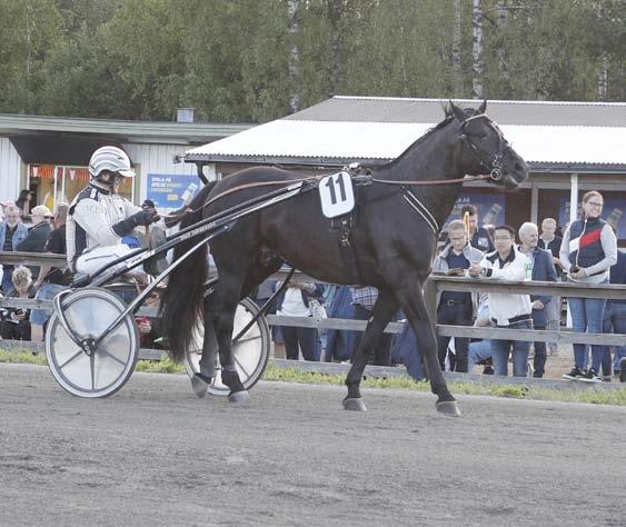 WERMLANDS TRAVARSÄLLSKAP ARVIKATRAVET V REDAG JULI TORSDAG juli ÖRSTA START :00 OMSLAGET: Nästan 000