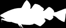 tal: 0-0-.,br.s.e Quaker Jet - : 0-0-,a. : 0-0-,a. M.T.