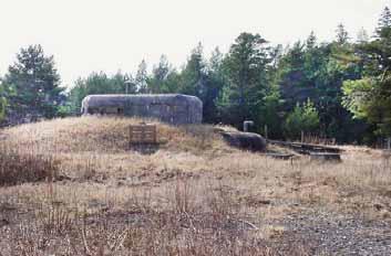 1963 ansåg försvarsmakten hela Bungenäs som allt för intressant med sitt strategiska östliga läge. Samtidigt var hamnen djup och viktig ur försvarssynpunkt.