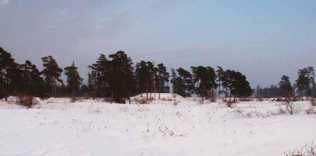 Savannen Befintlig byggnad nr 18 Byggnation och mark generellt Vid uppförande av ny byggnad skall hänsyn tagas mot rådande markförutsättningar på den specifikt utvalda platsen.