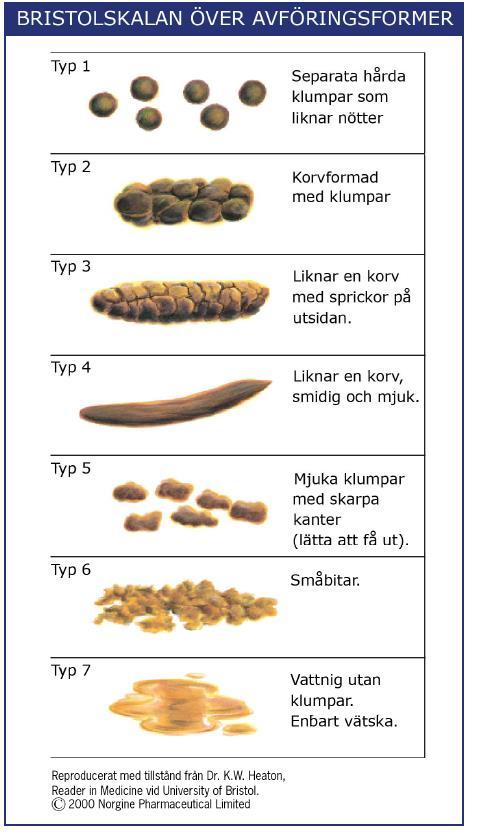 När misstänks förstoppning? Symtom: hård och gles avföring leda till bukoch defekationssmärta, uppblåsthet, och ibland illamående och dålig matlust.