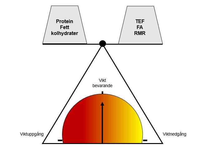 Figur 1 Energibehov - Energiintag = 0 =Energibalans För en frisk individ leder ett energiintag som överstiger energibehovet till viktuppgång och om energiintaget understiger energibehovet blir