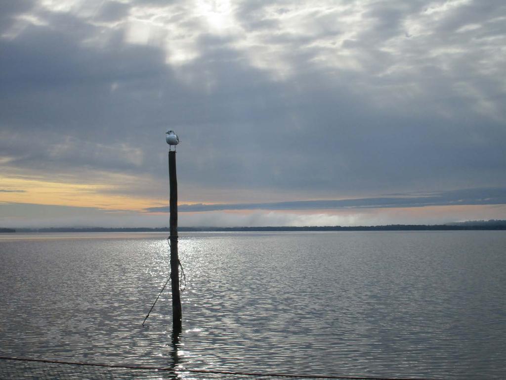 Ringsjön, siktdjup, sommarmedelvärden (juni-september) 0,0 1975 1976 1977 1978 1979 1980 1981 1982 1983 1984 1985 1986 1987 1988 1989 1990 1991 1992 1993 1994 1995 1996 1997 1998 1999 2000 2001