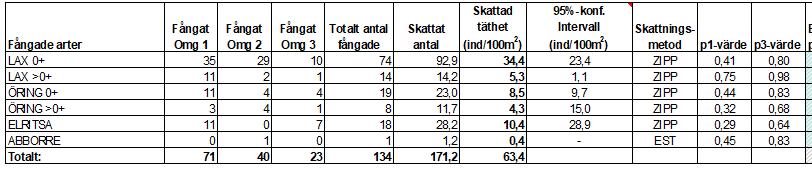 (äldre fisk) öring 0+