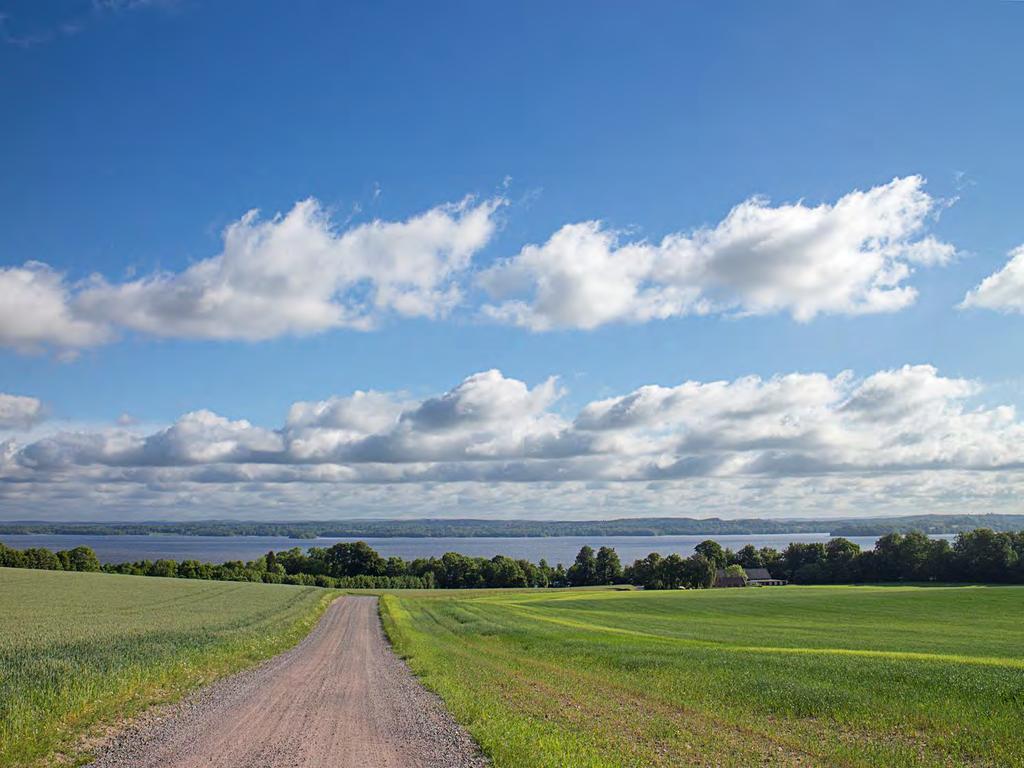Både artantal och individantal
