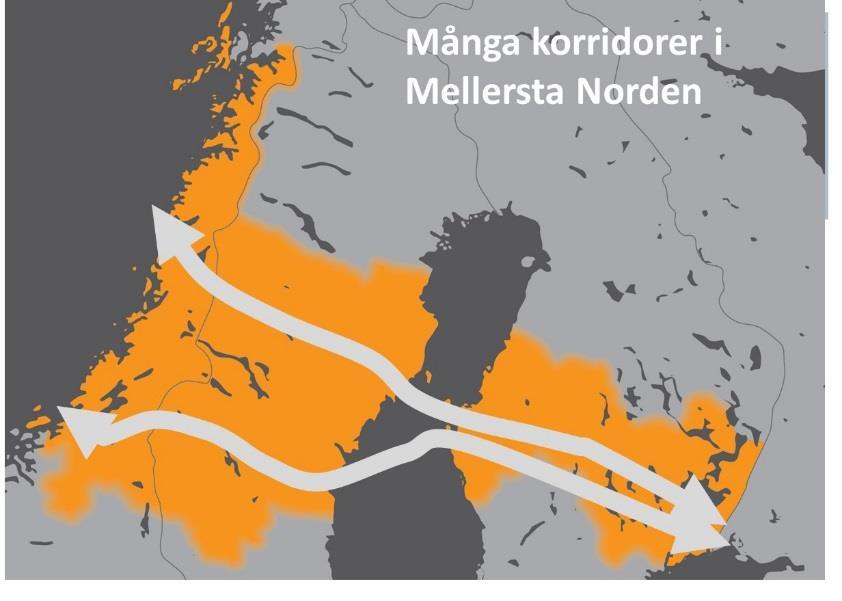 Bakgrunden De nordiska ländernas transportsystem präglas av en tydlig nord-sydlig orientering. Transportmöjligheterna på tvärs är mer begränsade.