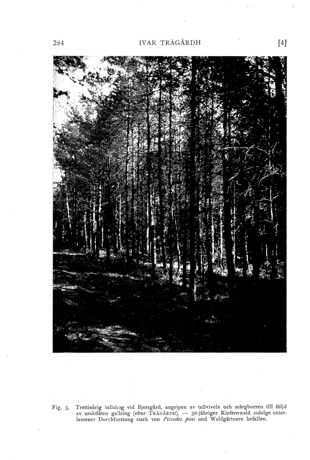2ö4 IV AR TRÄGÅRD H [4J Fig.