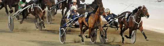stall leif witasp kajsa frick RAPPORT FÖR JANUARI 2012 ÅRGÅNG 8 120125 Sandrngham Hanover grym på Solvalla 120102 Egguinox satte pricken över i:et 120104 Illinois Rose i en klass för sig 120109 Triss