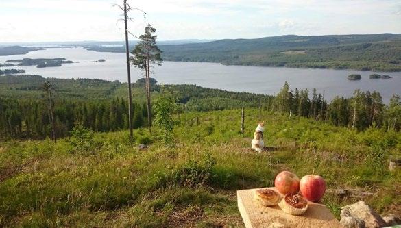 kanske främst om att med hela sig själv, alla sinnen, få uppleva naturen och ta del av dess läkande, rekreerande kraft.