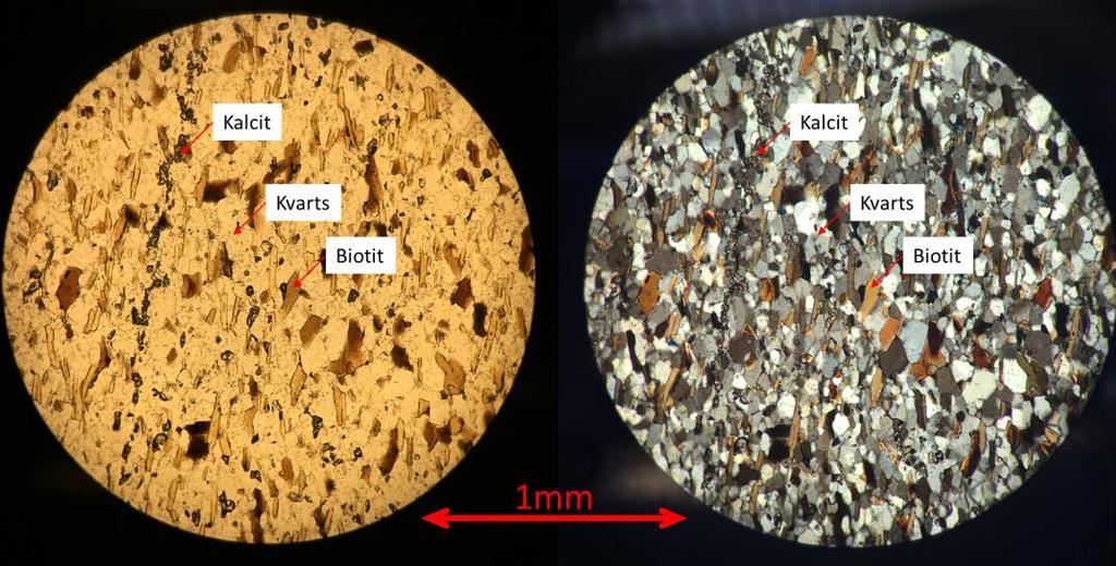 Tabell 2, Visar andelen av mineraler som identifierats i procent vid punkträkning av tunnslip 19U-02C, 500 punkter räknades för respektive zoner (Sidobergart, sidobergartsomvandling och