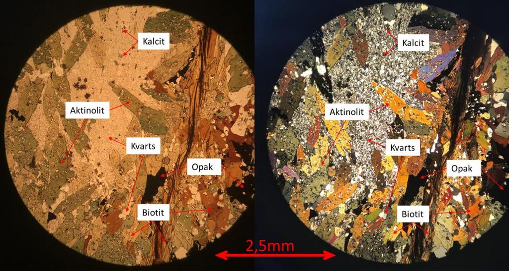 Bilden nedan, figur 7, visar att mineralerna i omvandlingsådern följer ingen prefererad mineralorientering.