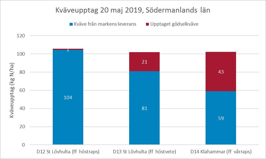 Bild 3 och 4. Nollrutor på fält D12 St. Lövhulta med förfrukt höstraps (vänster), och D14 Klahammar med förfrukt vårraps (höger) den 20 maj 2019.