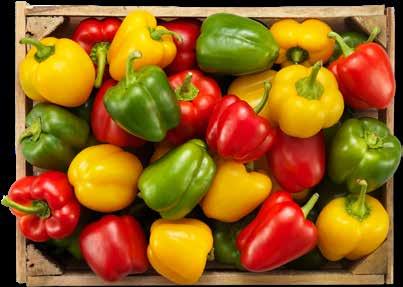 Ca 1000-1800 g. Fetthalt 20%.