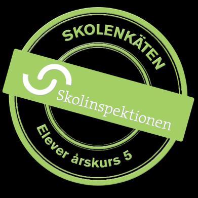 Skolenkäten våren 2017