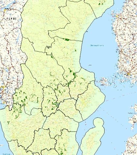 De mörkgröna områdena visar var det finns ekologiskt intressanta miljöer för vitryggig hackspett i de län som berörs av åtgärdsprogrammet.