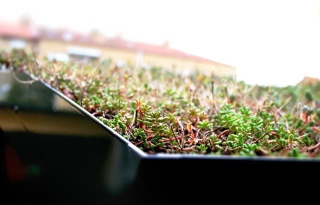 klimatanpassningsåtgärd. Gröna tak minskar föroreningsbelastningen genom att vatten fördröjs och föroreningar binds.