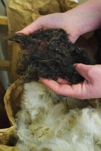 Råmaterialet. Så här ser ullen ut då den kommer till Koskö Mill från gårdarna. Lukten av får är omisskännlig.