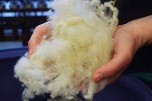 Hon konstaterar att ull av kvaliteten superwash, som tål tvätt bättre än annan ull, har fått sina egenskaper från att ligga i ett bad där fibrerna täcks av ett tunt, tunt plastskikt.