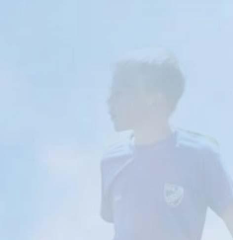 Tävling ungdom/junior/senior - Vad gäller vid övergångar? Övergångsinformation fotboll - Bestämmelselathund - Registrerad svensk fotbollsspelare är antingen professionell eller amatör.