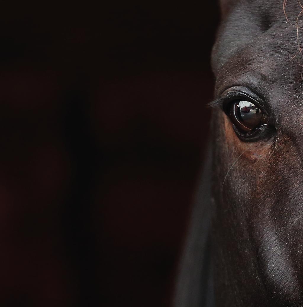V ÖVRIGA LOPP SOLVALLA ONSDAG AUGUSTI Lärlings & Ungdomslopp Nordisk Idrottsreklam SOLVALLA // 0 LOPP 0 M AUTO START. åriga och äldre.00 0.000 kr, körda av CE eller F licensinnehavare.