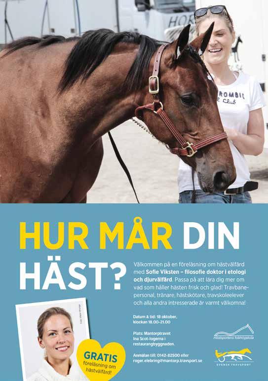 Höstlovsläger på travskolan För barn från 7 år,