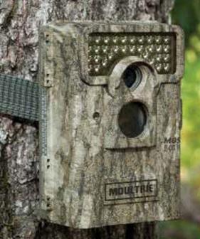 GPS-marked WB Game cameras Rodent