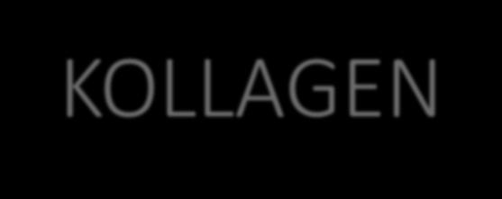 KOLLAGEN