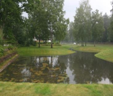 2 Skålad grönyta Skålad eller nedsänkt grönyta är lämplig för att ta hand om överskottsvatten eller regn som är större än det som ledningssystemet normalt är dimensionerat för.