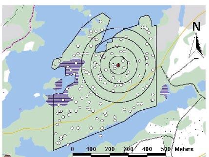 Figure 5-2. Geographical distribution of all bird territories in mapping area 2 (Hålö, bold black line) in 2003 (left; white dots) and 2004 (right; black dots).