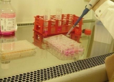 Tox tester Bioreporter tester Cellbaserade biologiska testmetoder För detektion av respons från dioxinlika ämnen, PAHer, hormonstörande ämnen, genotoxiska