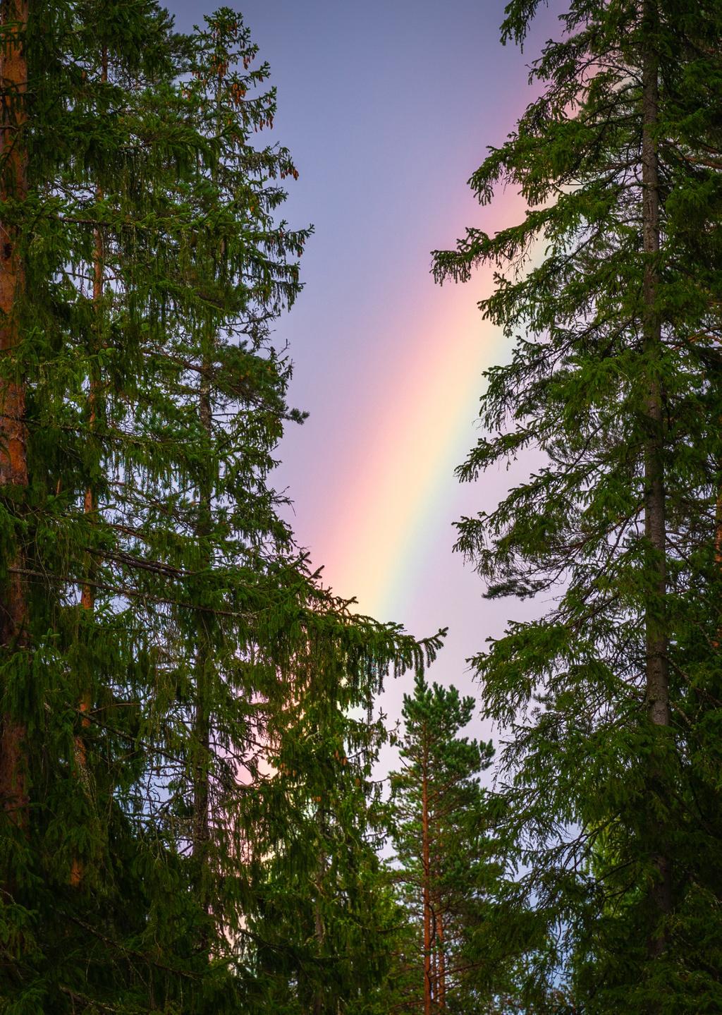 Diakoni Diakoni är att möta medmänniskor på den plats och i den situation som de just nu befinner sig i utan krav eller motprestation.