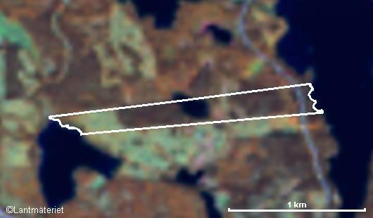 7/10 Satellitbilder Satellitbilder har låg upplösning, men tas varje år och kan därför visa förändringar, till exempel nya avverkningar och vindfällda områden.