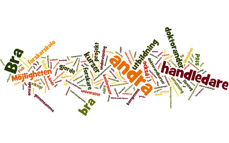 Figur 1. Wordle som sammanfattar vad forskarna tyckte var särskilt bra. 6.2 Vad anser du var mindre bra? Otydliga krav från handledare. Brist på öppenhet mot samhället i övrigt. För högt tempo.