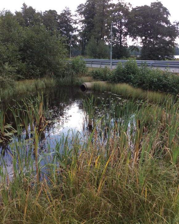 Olingeån har mycket högt biotopvärde, vilket baseras på att Olingeån är en viktig livsmiljö för en lång rad organismer knutna till stilla framflytande, mindre åar, som fisk och småkryp i vatten men