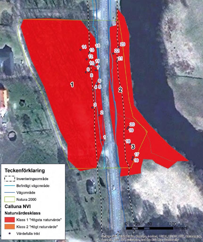 Den västra sidan av Matsalycke är i huvudsak utpekad som Natura 2000-naturtypen Trädklädda betesmarker av fennoskandisk typ (9070) och har fullgod skyddsstatus.