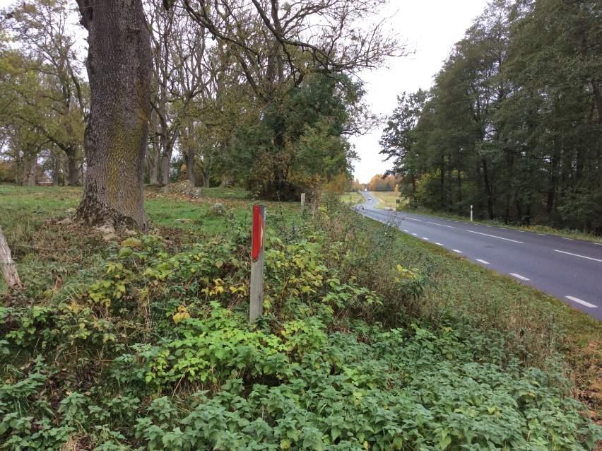 Hela Matsalycke är klassat med högsta naturvärde, klass 1, enligt de genomförda naturvärdesinventeringarna (Calluna 2015, Calluna 2016).