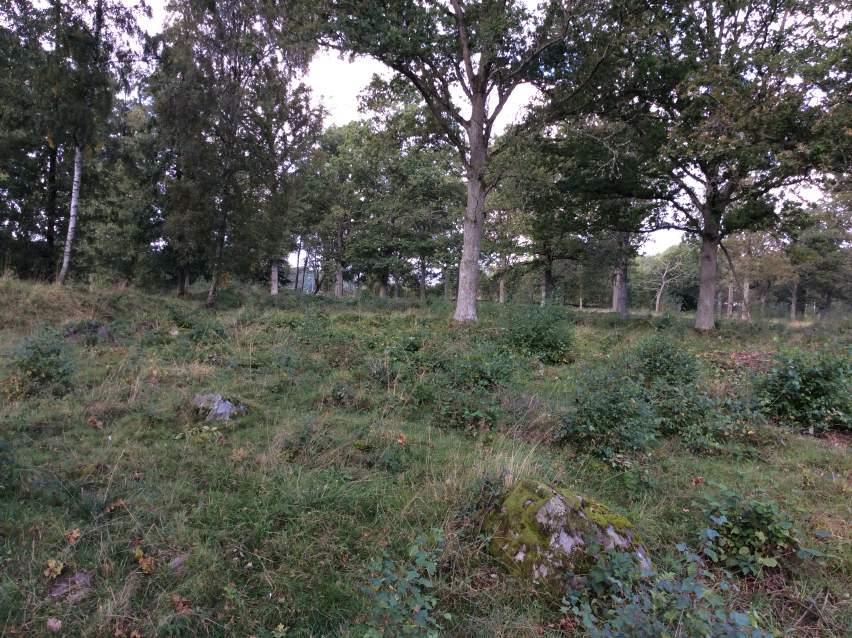 Mannagården Mannagården är ett utpekat Natura 2000-området och Riksintresse för naturvården. Det ingår i Naturvårdsprogram för Skåne län.