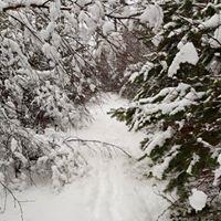 OK Tranans nyhetsbrev 1/2018 Vårdagjämning enligt almanackan, men i naturen är det allt annat än vår just nu Efter en fantastisk, men något sen vinter är vi många som nu längtar efter att få springa