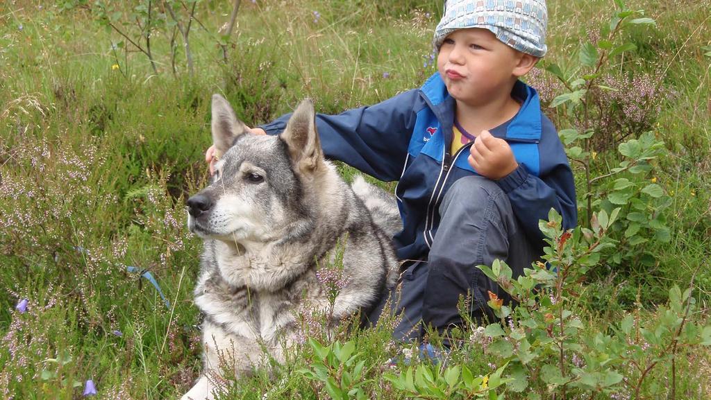 Stärkta individer Kvinnor, män, flickor och pojkar har förmåga, vilja och möjlighet att omsätta kunskap till handling och vara