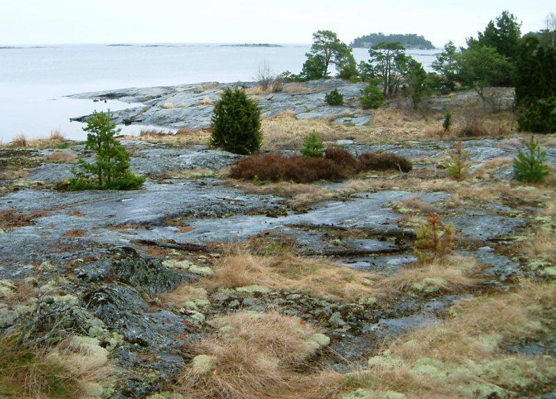Ingående naturtyper enligt art-och habitatdirektivet *) = Prioriterad art eller naturtyp Habitatkod Benämning 8230 Pionjärvegetation på silikatrika bergytor 5,7 Areal (ha) 9010 *Västlig taiga 42,3